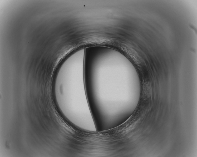 X0000097290399200802151103