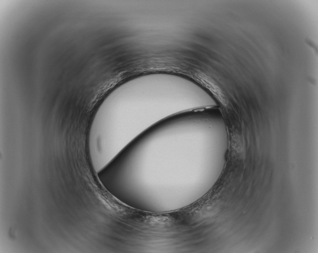 X0000097290401200802151103