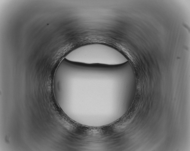 X0000097290402200802151103