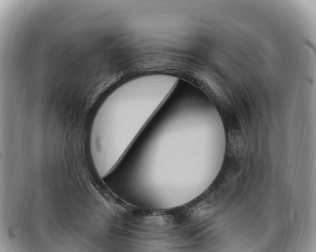 X0000097290404200802151103