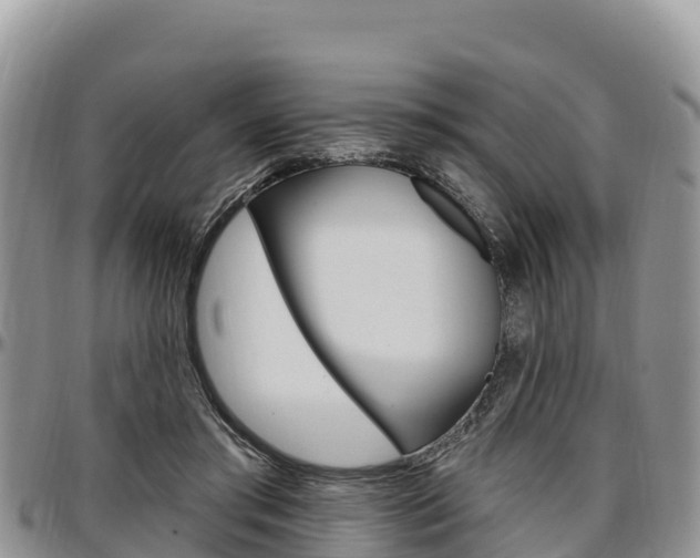 X0000097290405200802151103