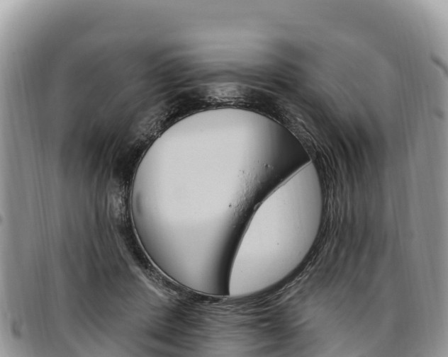 X0000097290408200802151103
