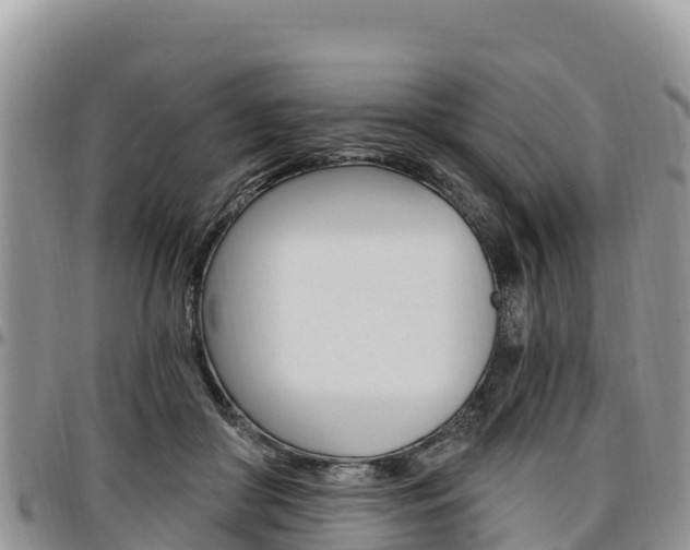 X0000097290410200802151103