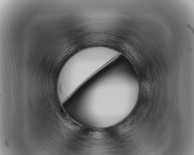 X0000097290412200802151103