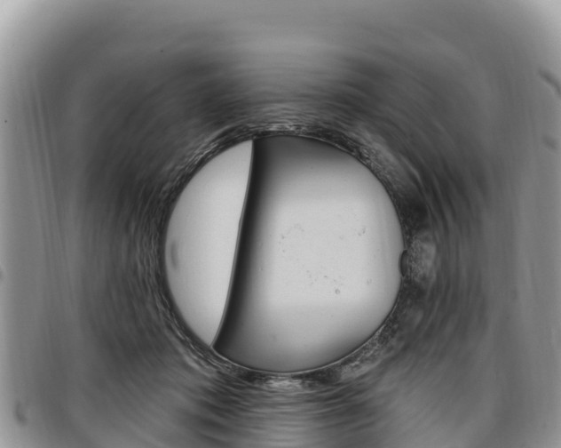 X0000097290413200802151103