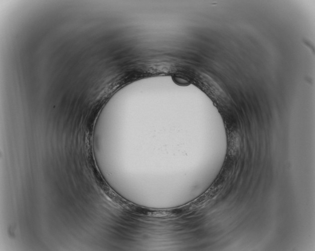 X0000097290414200802151103