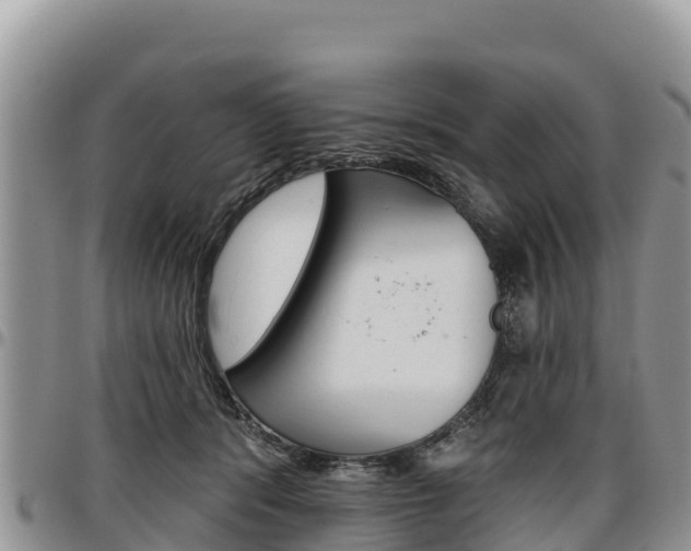 X0000097290416200802151103