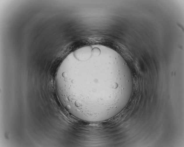 X0000097290418200802151103