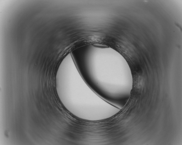 X0000097290425200802151103
