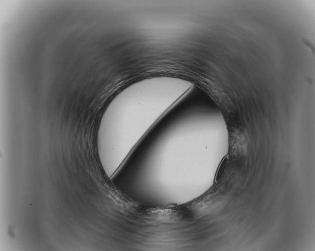 X0000097290428200802151103