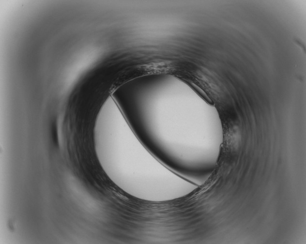 X0000097290429200802151103