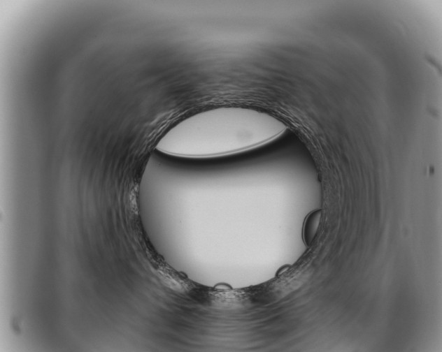 X0000097290432200802151103