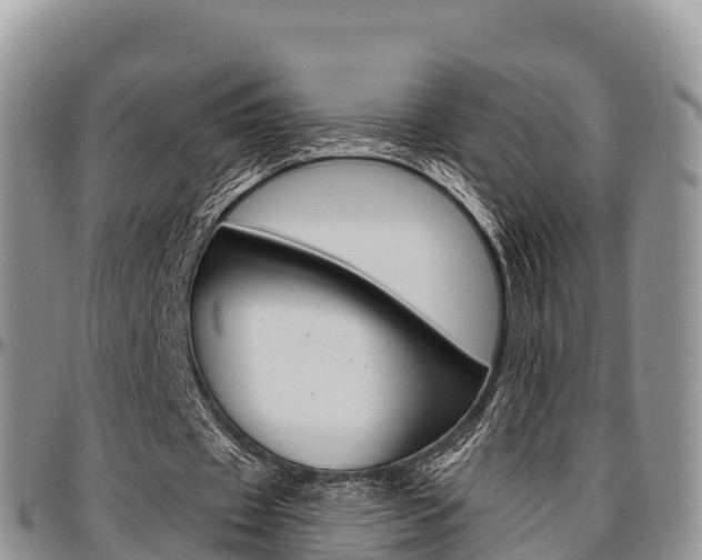 X0000097290433200802151102