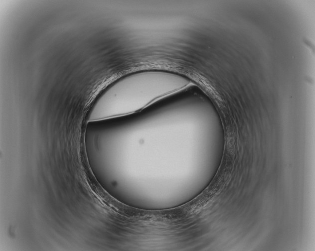 X0000097290434200802151102