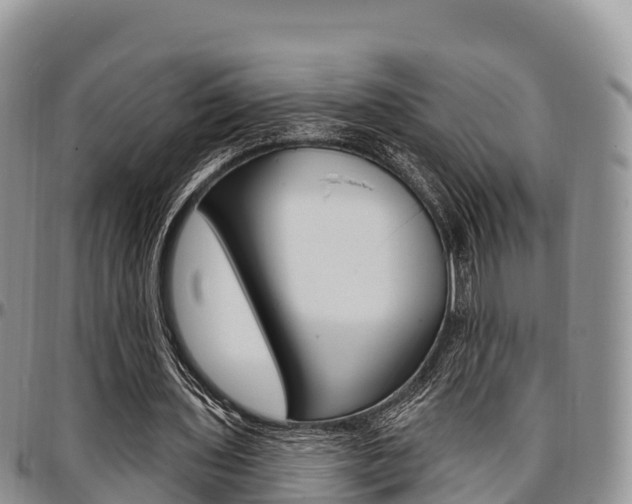X0000097290435200802151102