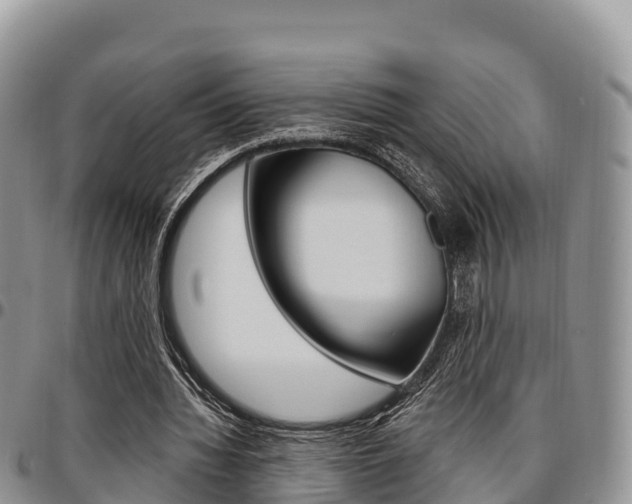 X0000097290436200802151102