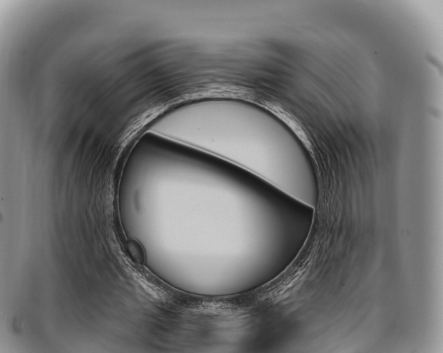 X0000097290437200802151102