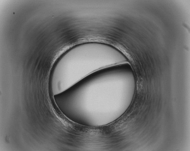 X0000097290438200802151102
