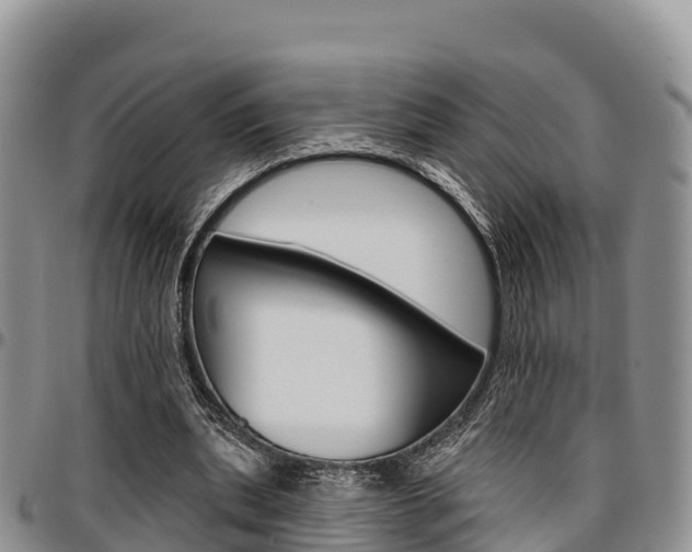X0000097290439200802151102