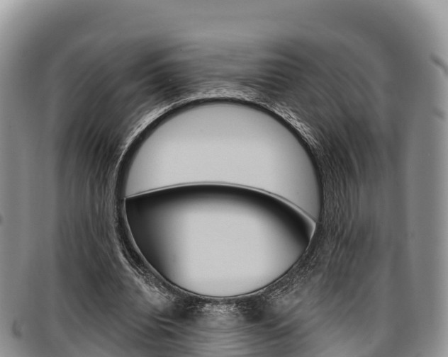 X0000097290440200802151102