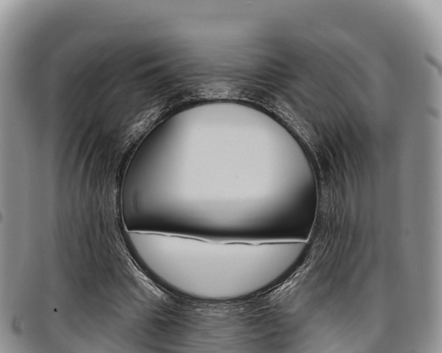 X0000097290441200802151102