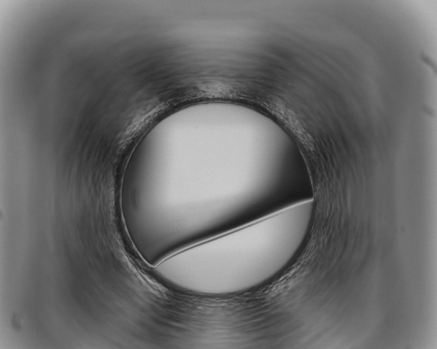 X0000097290442200802151102