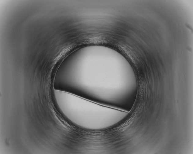 X0000097290443200802151102