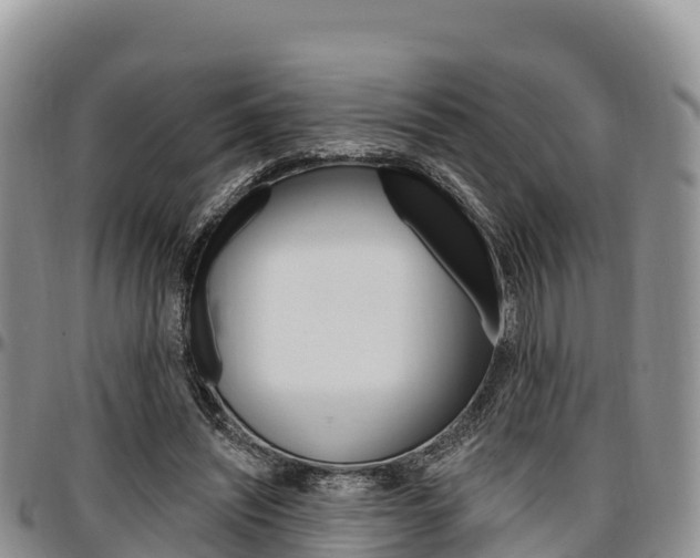 X0000097290444200802151102