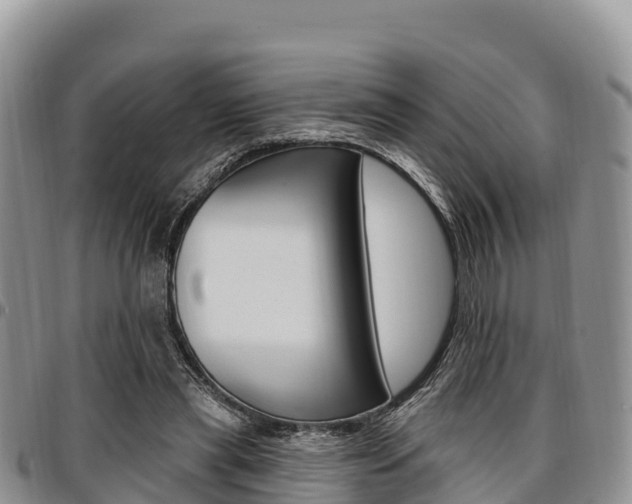 X0000097290445200802151102