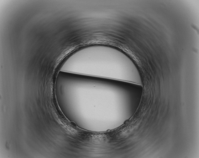 X0000097290446200802151102
