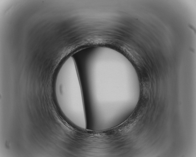 X0000097290447200802151102