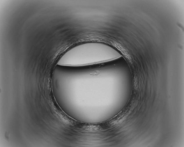 X0000097290449200802151102