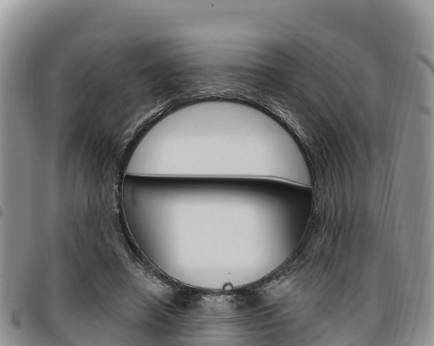 X0000097290450200802151102