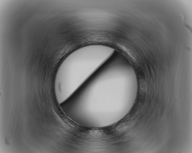 X0000097290451200802151102