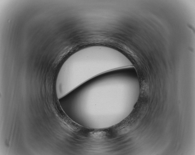 X0000097290452200802151102