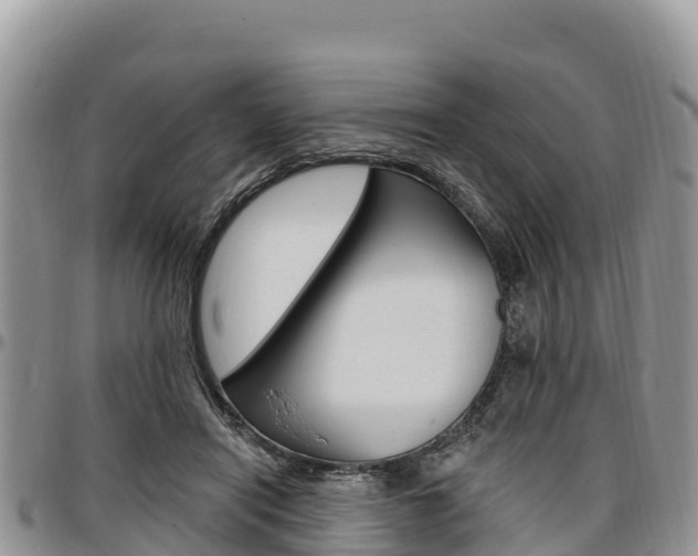 X0000097290454200802151102