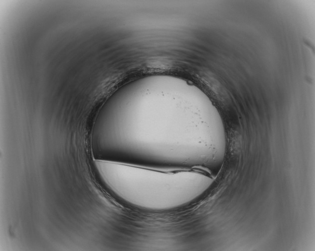 X0000097290455200802151102