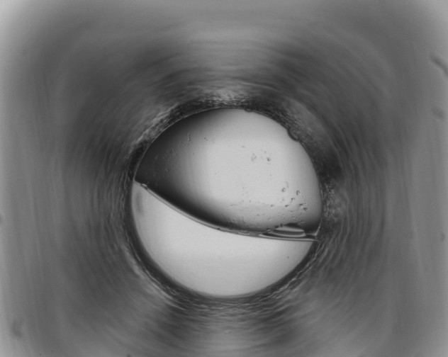 X0000097290456200802151102