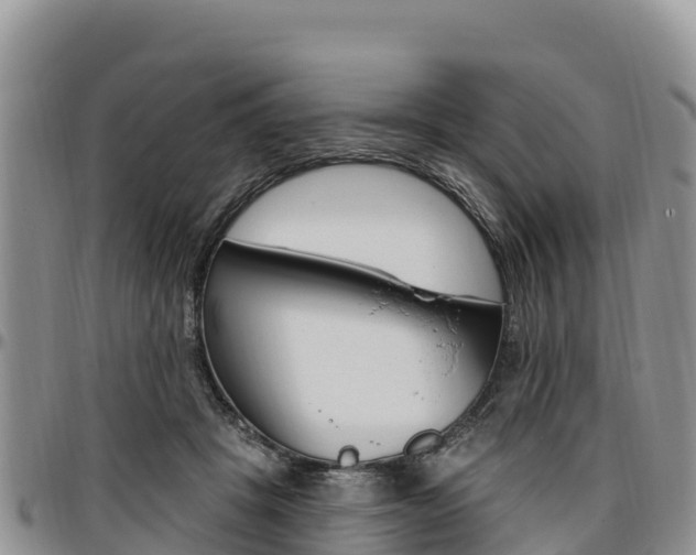 X0000097290457200802151102