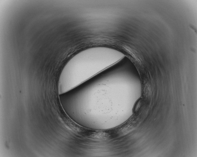 X0000097290459200802151102