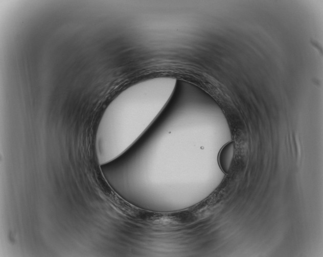X0000097290460200802151102