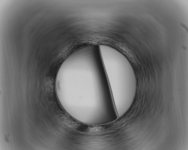 X0000097290461200802151102