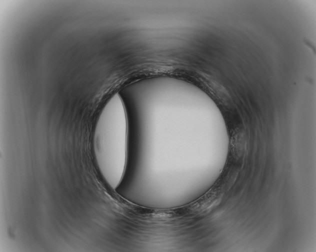 X0000097290462200802151102