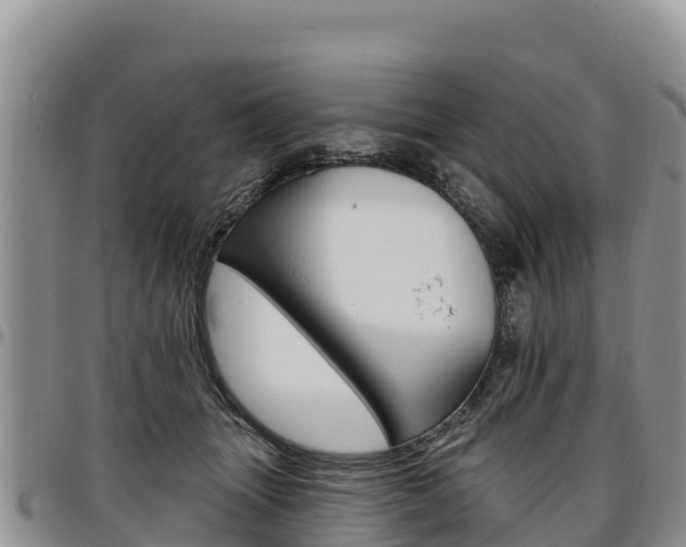 X0000097290463200802151102