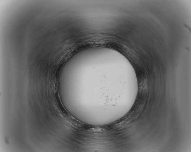 X0000097290464200802151102