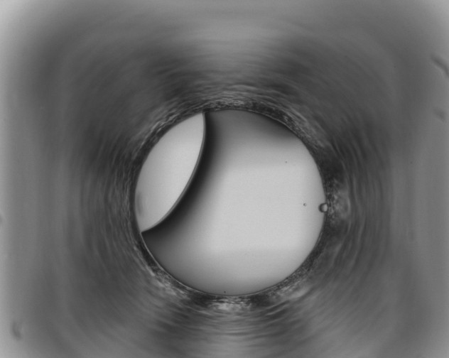 X0000097290466200802151102