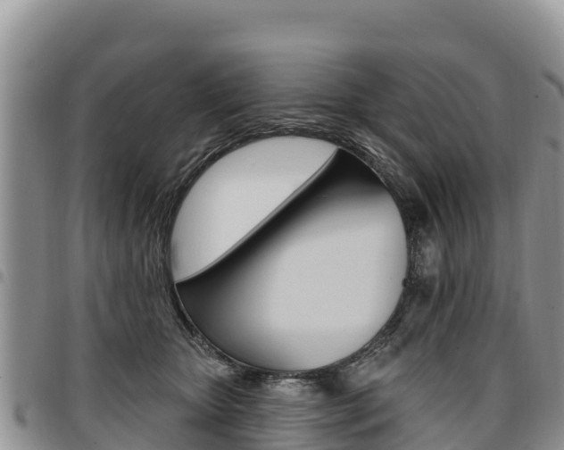 X0000097290467200802151102