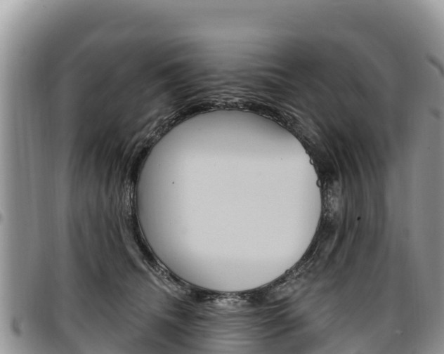 X0000097290468200802151102
