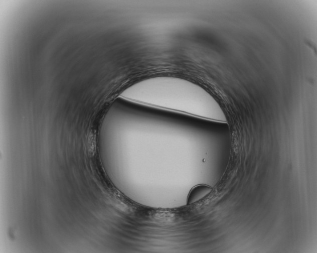 X0000097290471200802151103