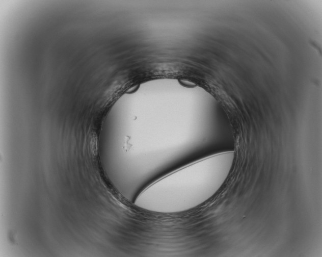 X0000097290474200802151103